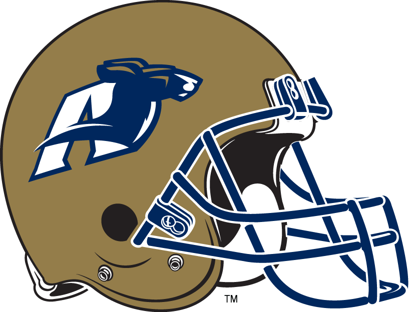 Akron Zips 2003-Pres Helmet Logo diy fabric transfer